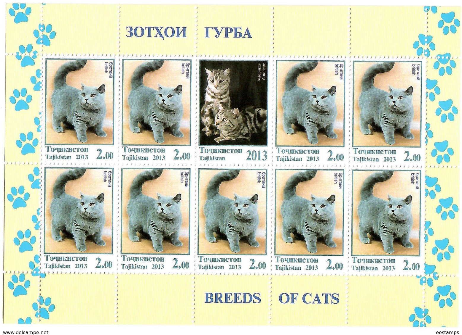 Tajikistan.2013 Cats. 3 Sheetlets, Each Of 9 + Label   Michel # 614-16 KB - Tadjikistan