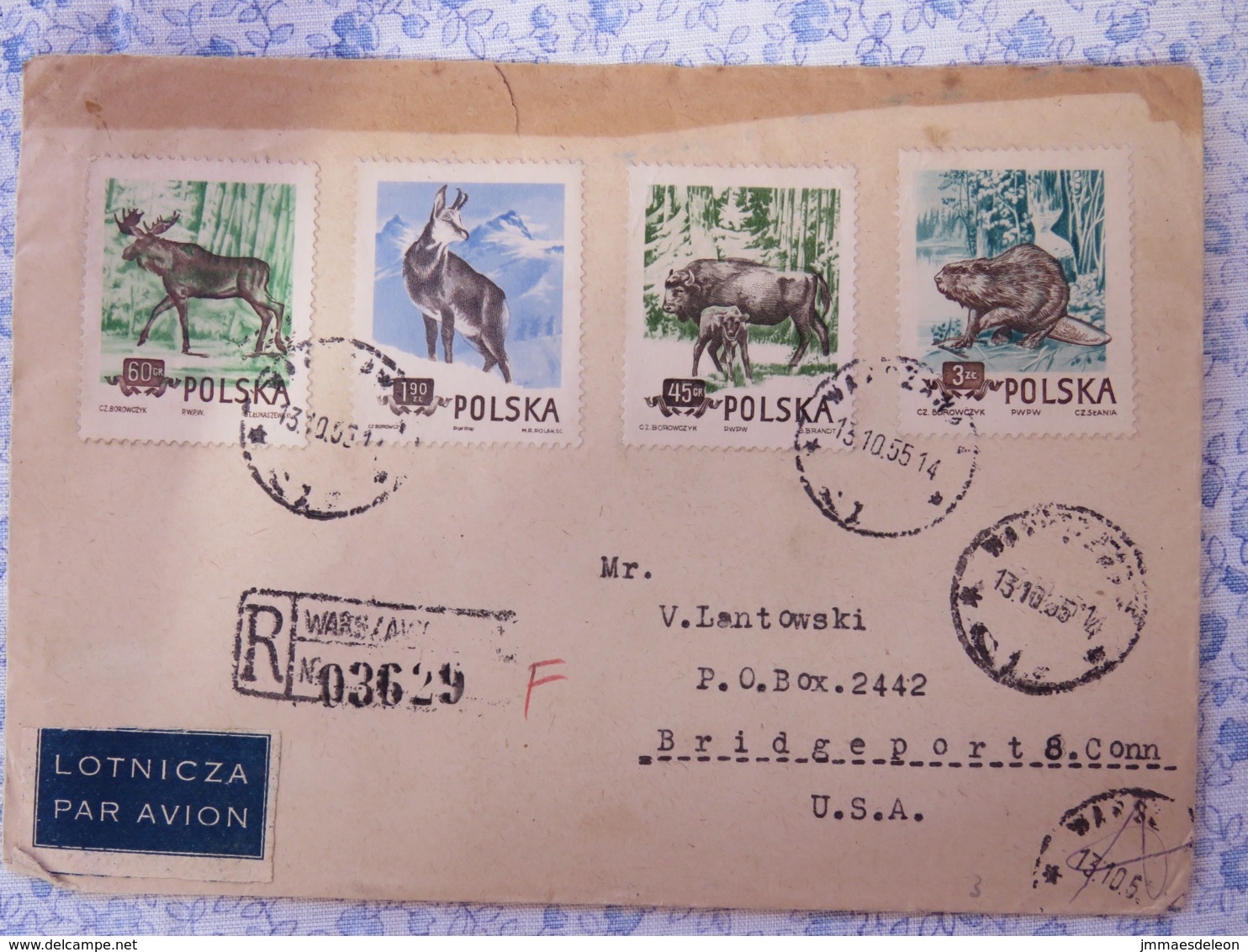 Poland 1955 Registered Cover To USA - Animals (full Set) Bison Chamois Elk Beaver - Lettres & Documents