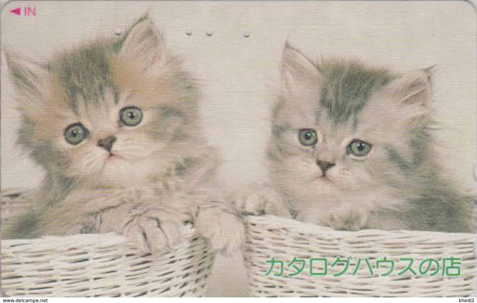 Télécarte Japon / 110-016 - ANIMAL - CHAT Chats - CAT Japan Phonecard - KATZE - GATO - GATTO - 4876 - Katten