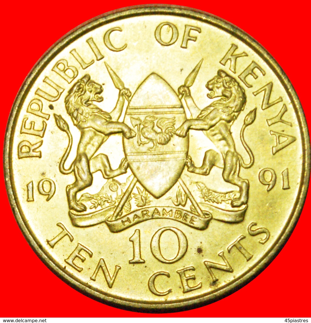 # COCK AND LIONS (1978-1991): KENYA ★ 10 CENTS 1991 UNC MINT LUSTER! LOW START ★ NO RESERVE! - Kenya