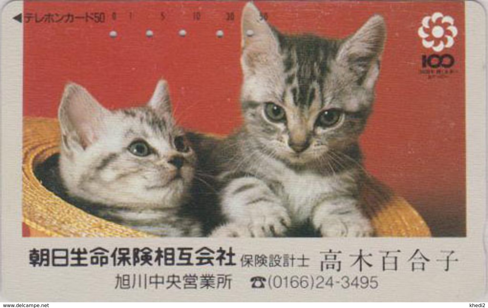 Télécarte Japon / 110-011 - Animal - CHAT Chats - CAT Japan Phonecard - KATZE - GATTO - GATO -  4898 - Cats