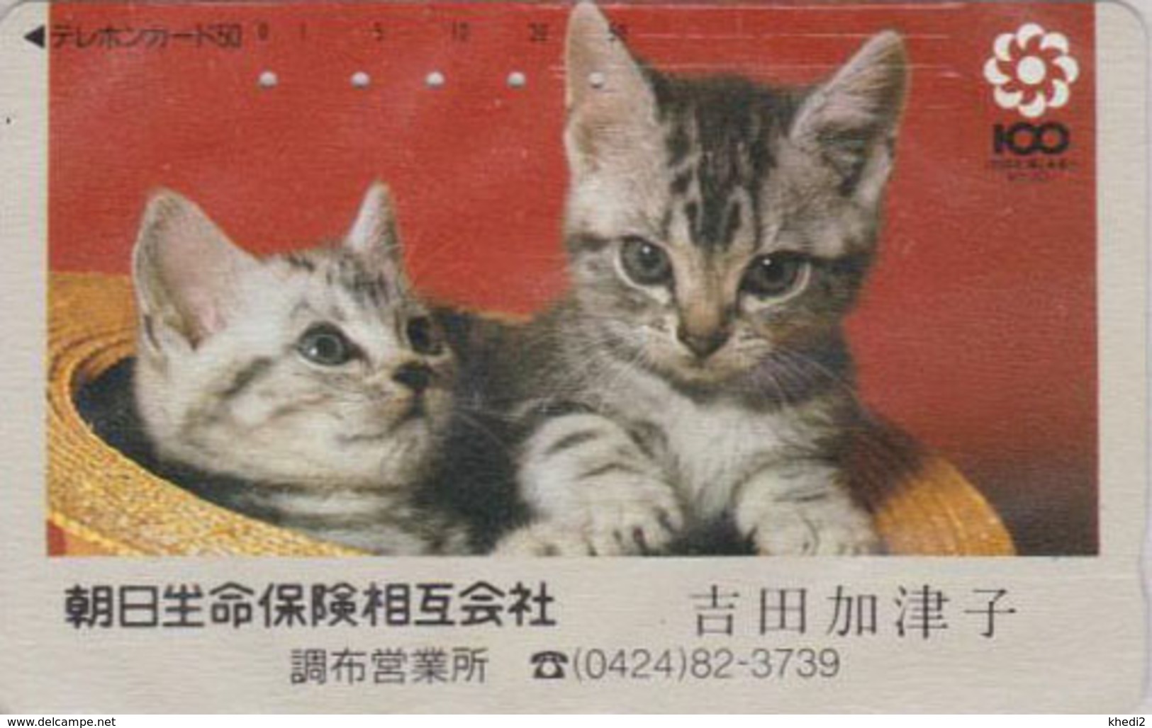 Télécarte Japon / 110-011 - Animal - CHAT Chats - CAT Japan Phonecard - KATZE - GATTO - GATO -  4899 - Cats