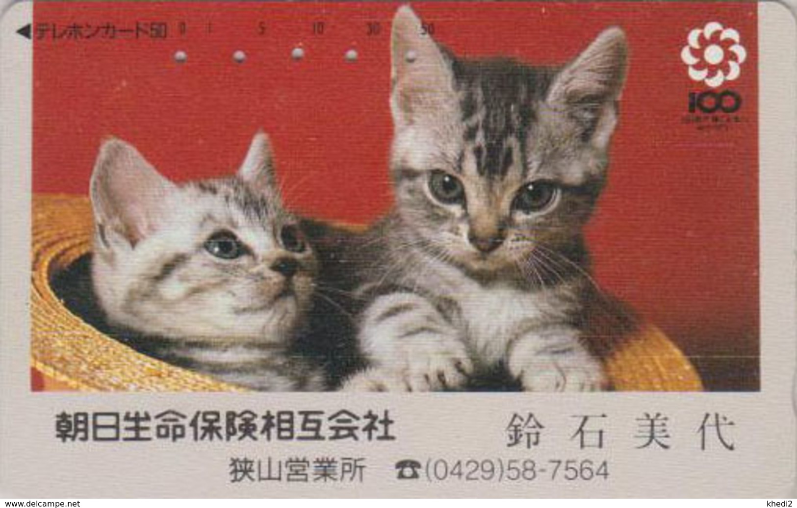 Télécarte Japon / 110-011 - Animal - CHAT Chats - CAT Japan Phonecard - KATZE - GATTO - GATO -  4900 - Cats