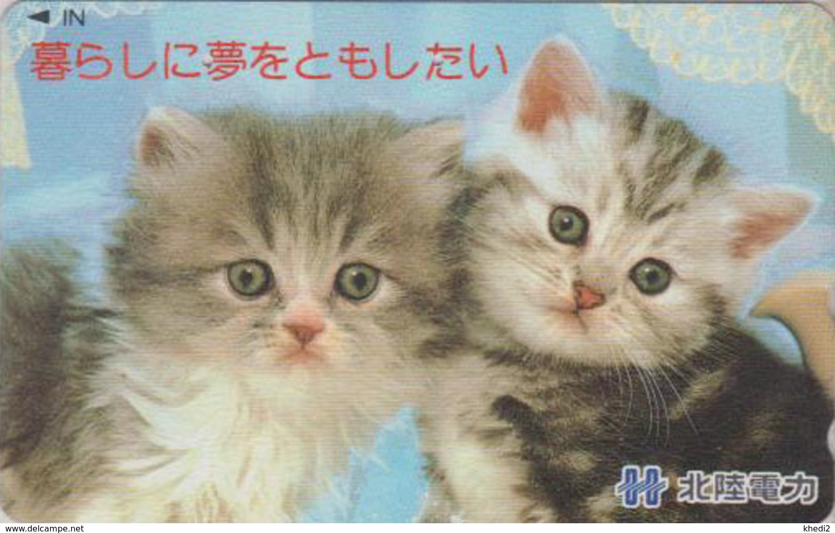 Télécarte Japon / 110-015 - Animal - CHAT Chats - CAT Japan Phonecard - KATZE - GATTO - GATO - 4914 - Katten