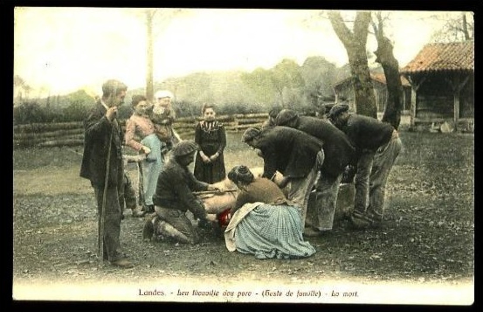 LANDES - Leu Tuouaille Dou Porc B- (heste De Famille) - La Mort - Bernéde, Arjuzanx-6894 - Fermes