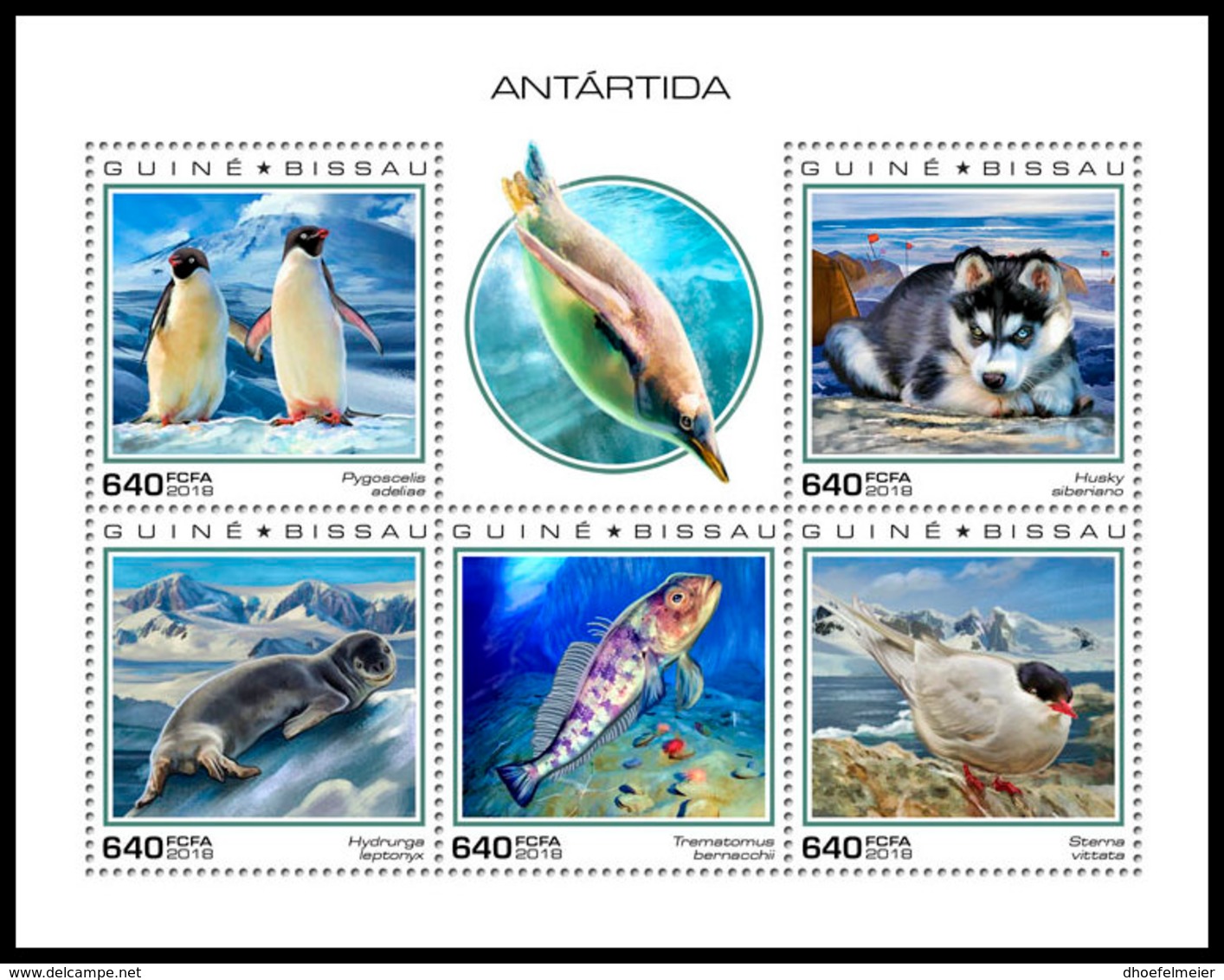 GUINEA BISSAU 2018 **MNH Antarctica Animals Tiere Der Antarktis Antarctique Animaux M/S - OFFICIAL ISSUE - DH1851 - Faune Antarctique