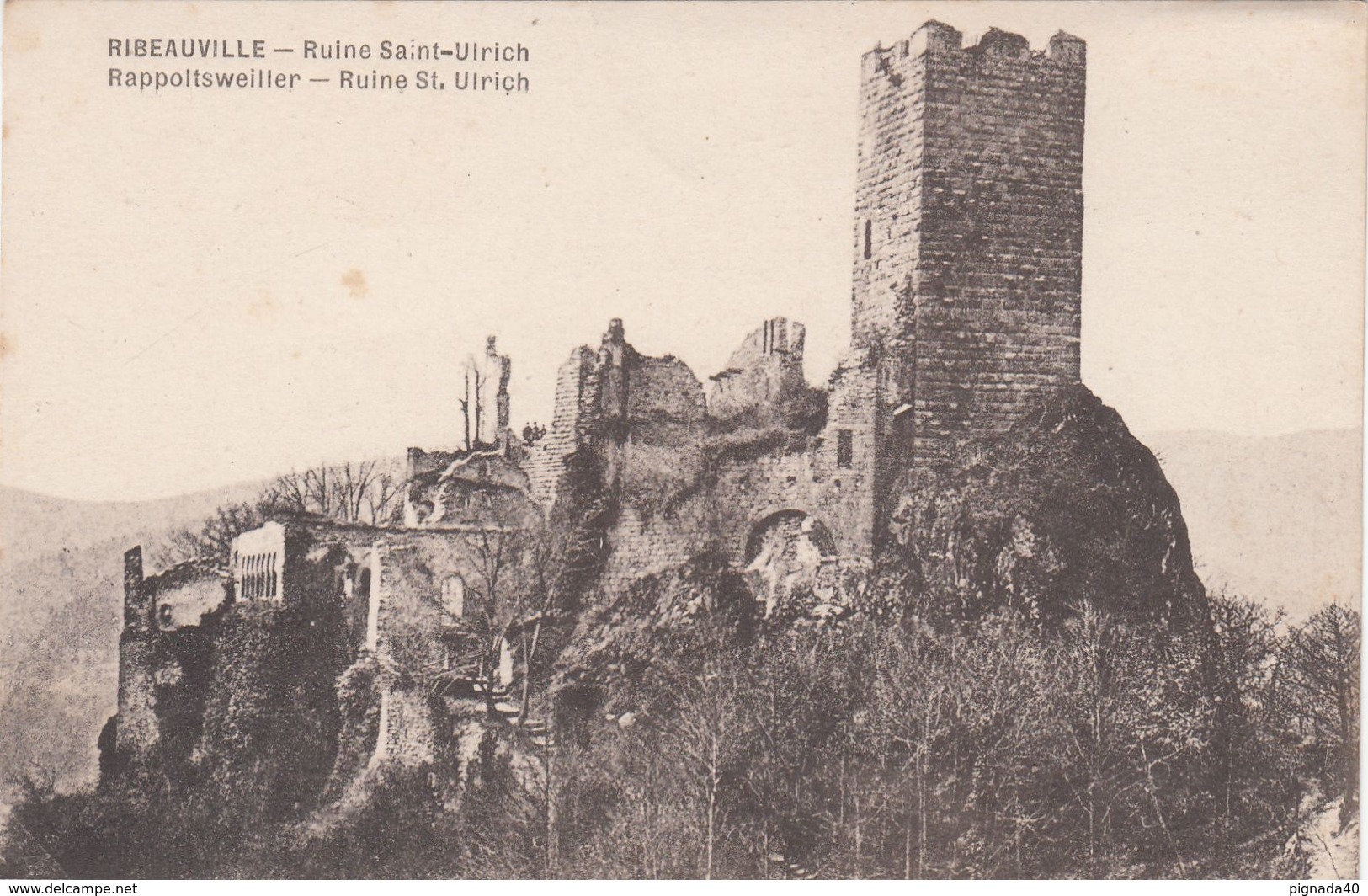 Cp , 68 , RIBEAUVILLÉ , Ruine Saint-Ulrich - Ribeauvillé