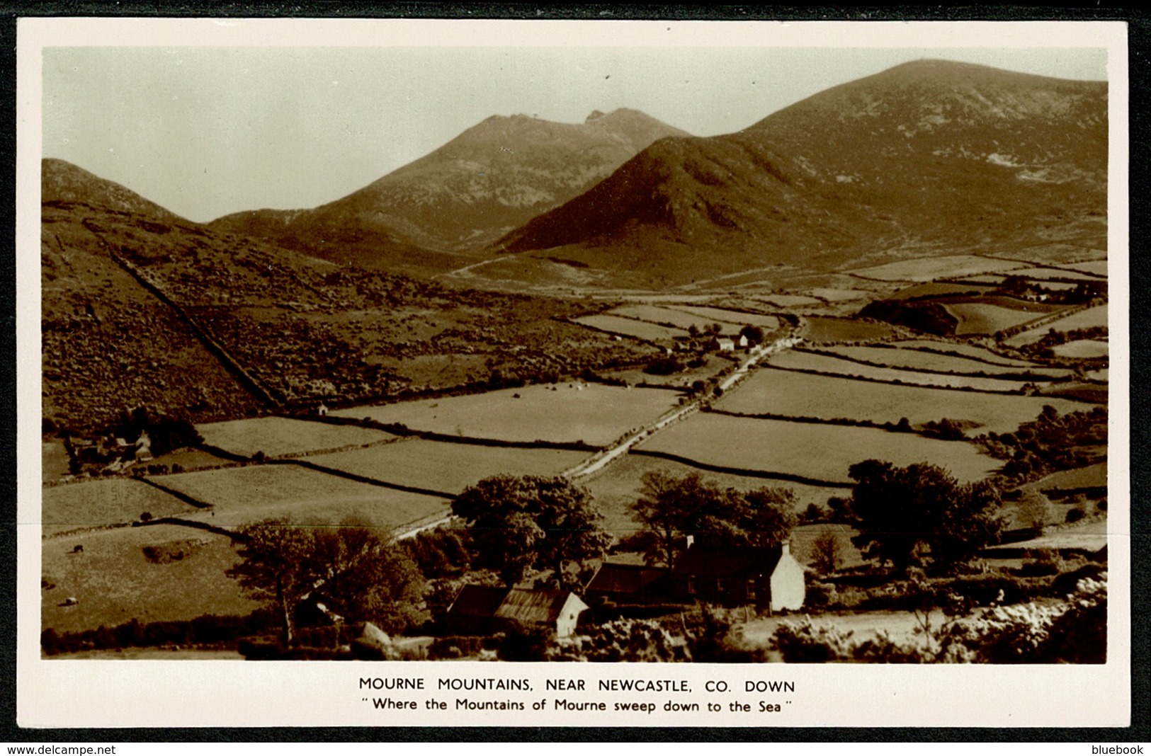 Ref 1253 - Real Photo Postcard - Cottages Mourne Mountains Near Newcastle Co. Down Ireland - Down