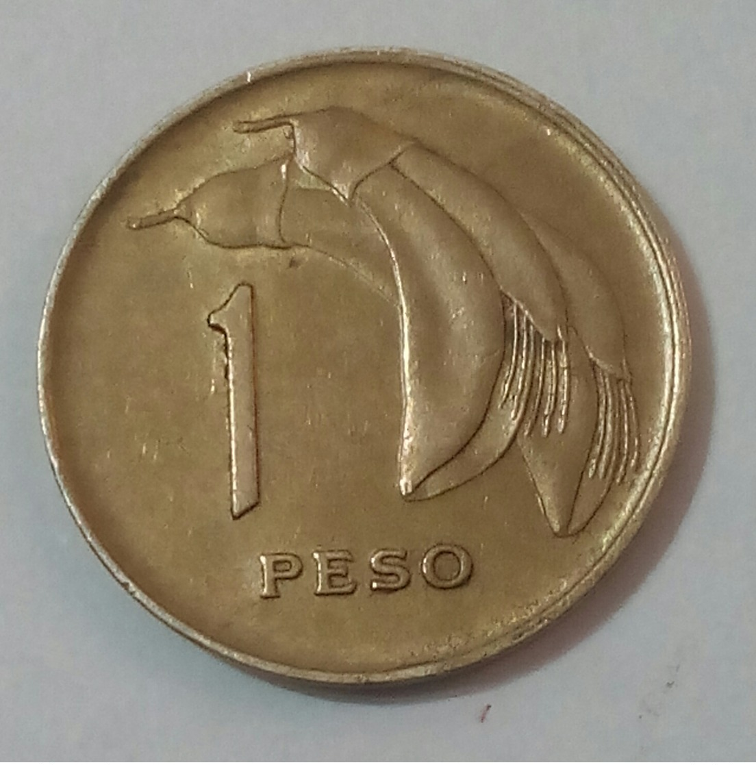 URUGUAY - 1 PESO - 1969 - KM 52 - Agouz - Uruguay