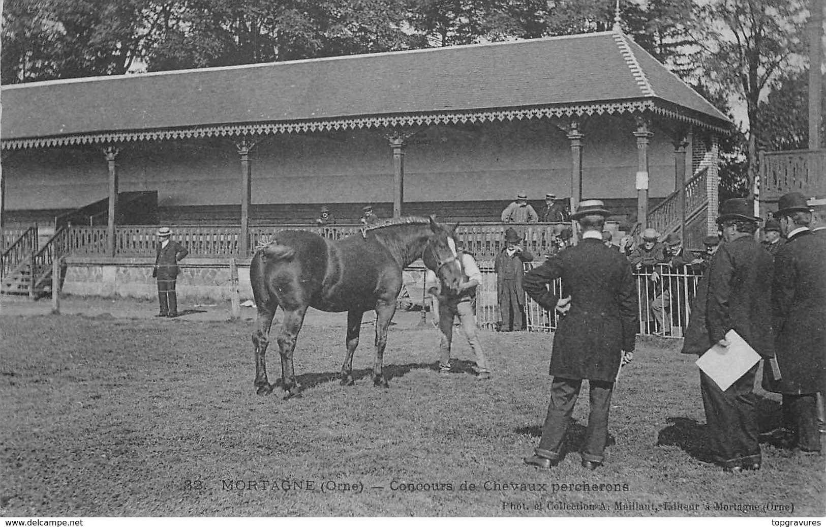 CP MORTAGNE CONCOURS CHEVAUX PERCHERONS - Mortagne Au Perche