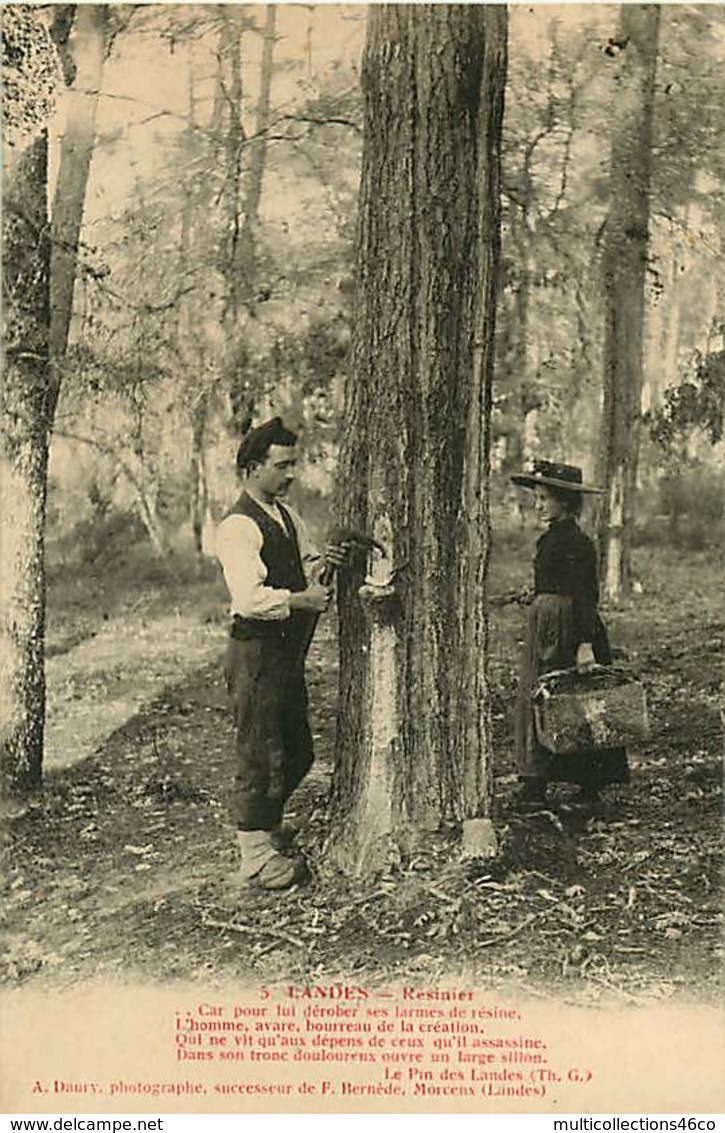 301218A - 40 MORCENX Photographe A DAURY - Résinier Poème Le Pin Des Landes Théophile Gautier - Bois - Morcenx