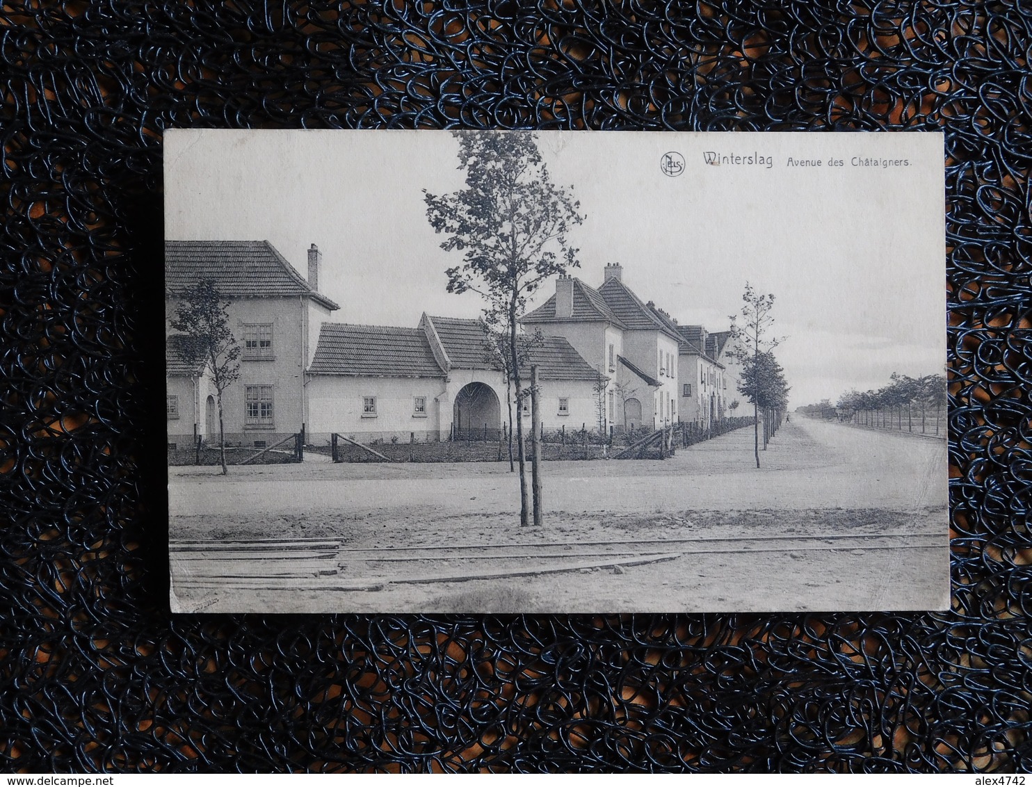 Winterslag, Avenue Des Châtaigners, 1924   (L6) - Genk