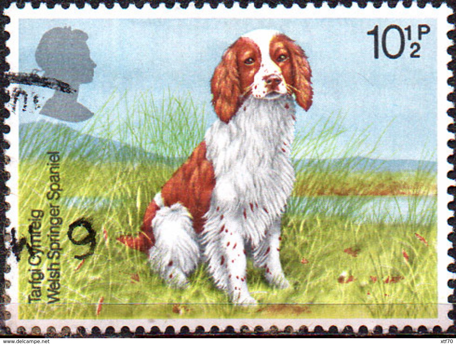GREAT BRITAIN 1979 Dogs: 10½p Welsh Springer Spaniel - Used Stamps