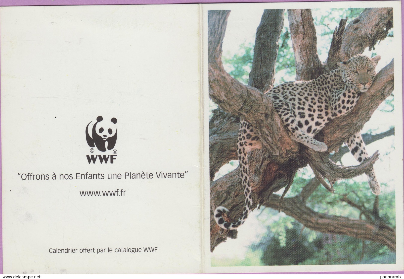 Calendrier °° 2002 - Animaux WWF - Panthère En Demi-sieste - 8x10 - Small : 2001-...