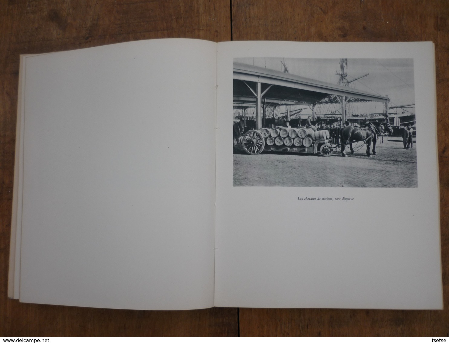 Anvers - Superbe Livre Sur L'histoire De La Compagnie Maritime Belge ( LLoyd Royal ) 1895-1945 ( Voir Scan ) - Antwerpen