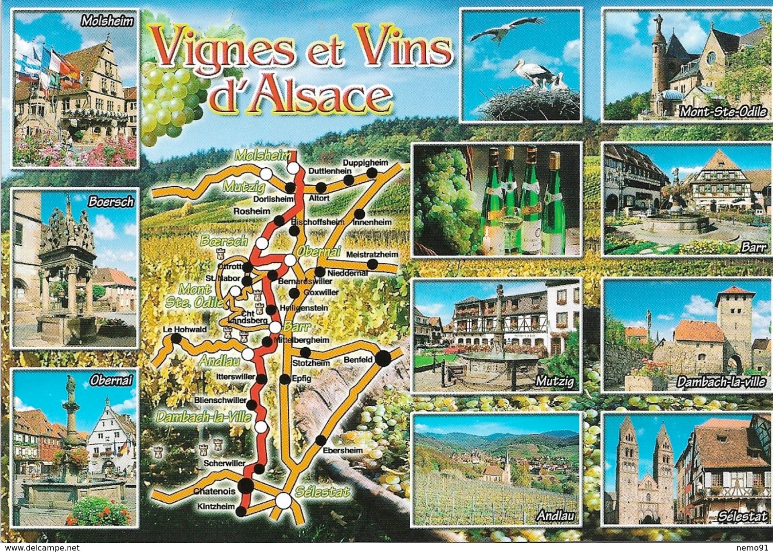 CARTES GÉOGRAPHIQUES - VIGNES ET VINS D'ALSACE DE MOLSHEIM À SÉLESTAT - CPM -  PAS ÉCRITE - - Cartes Géographiques