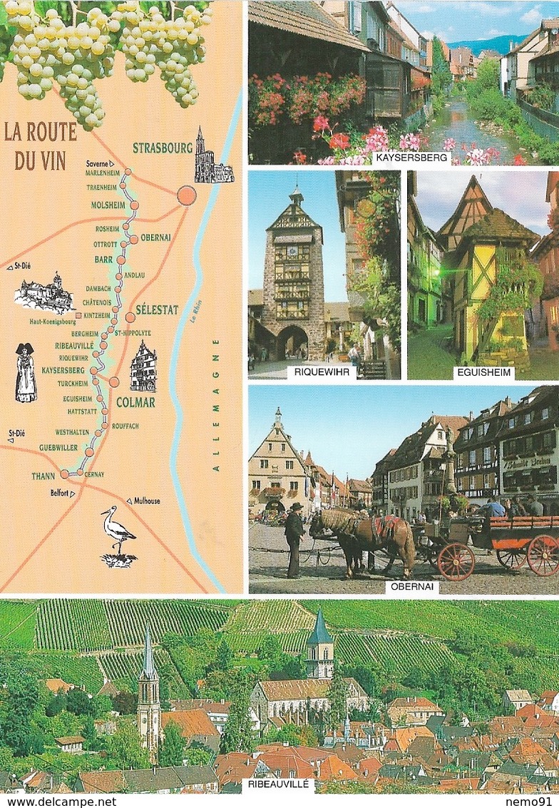 CARTES GÉOGRAPHIQUES - LA ROUTE DU VIN - ALSACE - CPM -  PAS ÉCRITE - - Maps