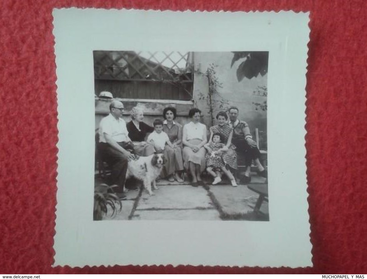 ANTIGUA FOTO FOTOGRAFÍA OLD PHOTO GRUPO DE PERSONAS SENTADAS EN PATIO O SIMIL Y PERRO DOG CHIEN VER SPAIN ? FRANCE ? VER - Personas Anónimos