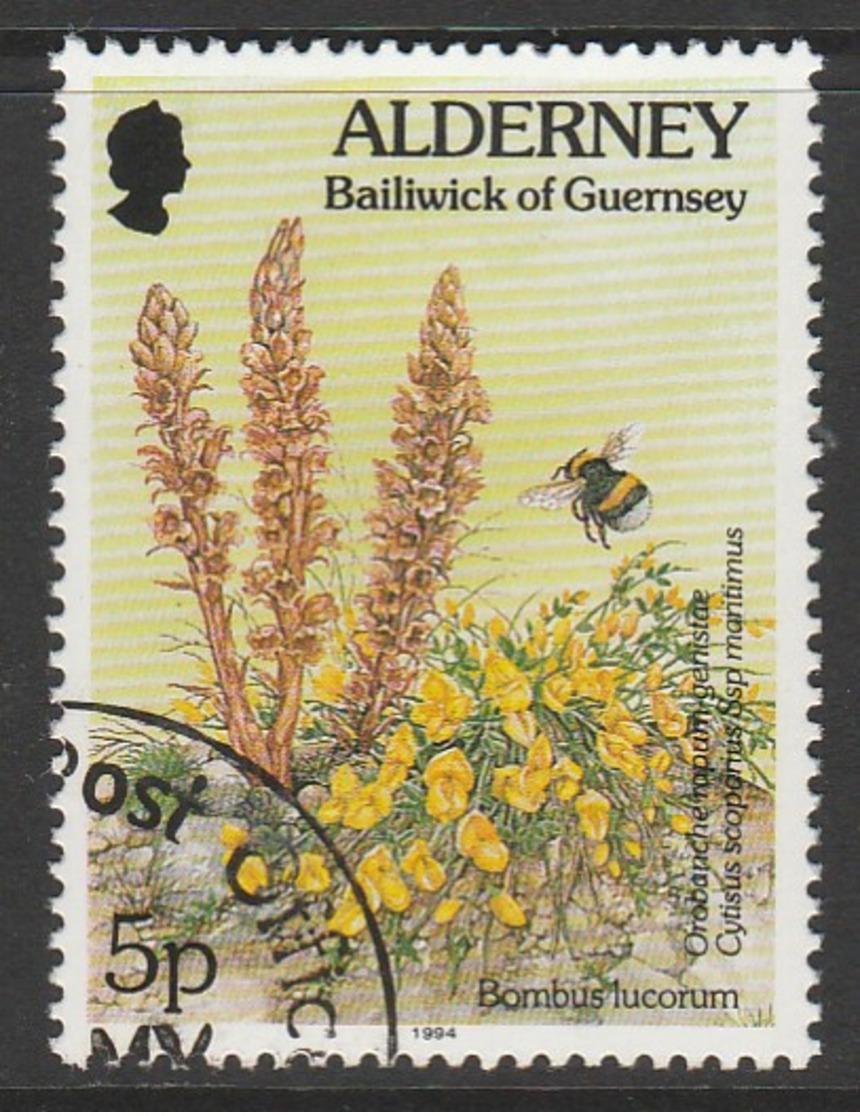 Alderney 1994 -1995 Flora And Fauna 5 P  Multicoloured SW 69 O Used - Alderney