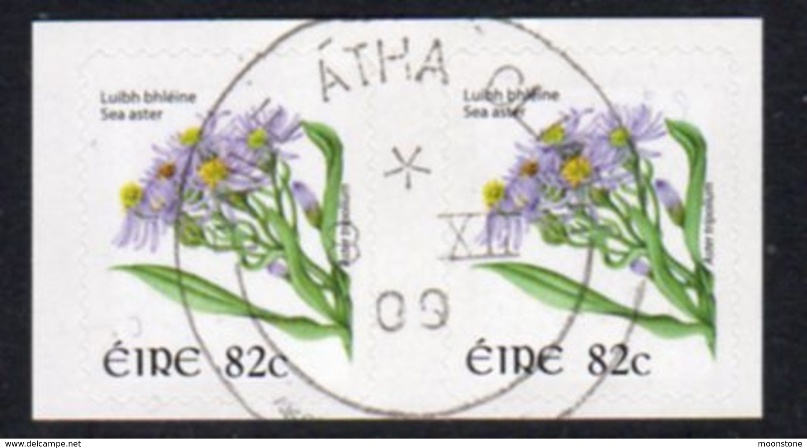 Ireland 2004-9 Wild Flowers Definitives Self-adhesive Small Size 82c Sea Aster Pair, Used SG 1699e - Oblitérés