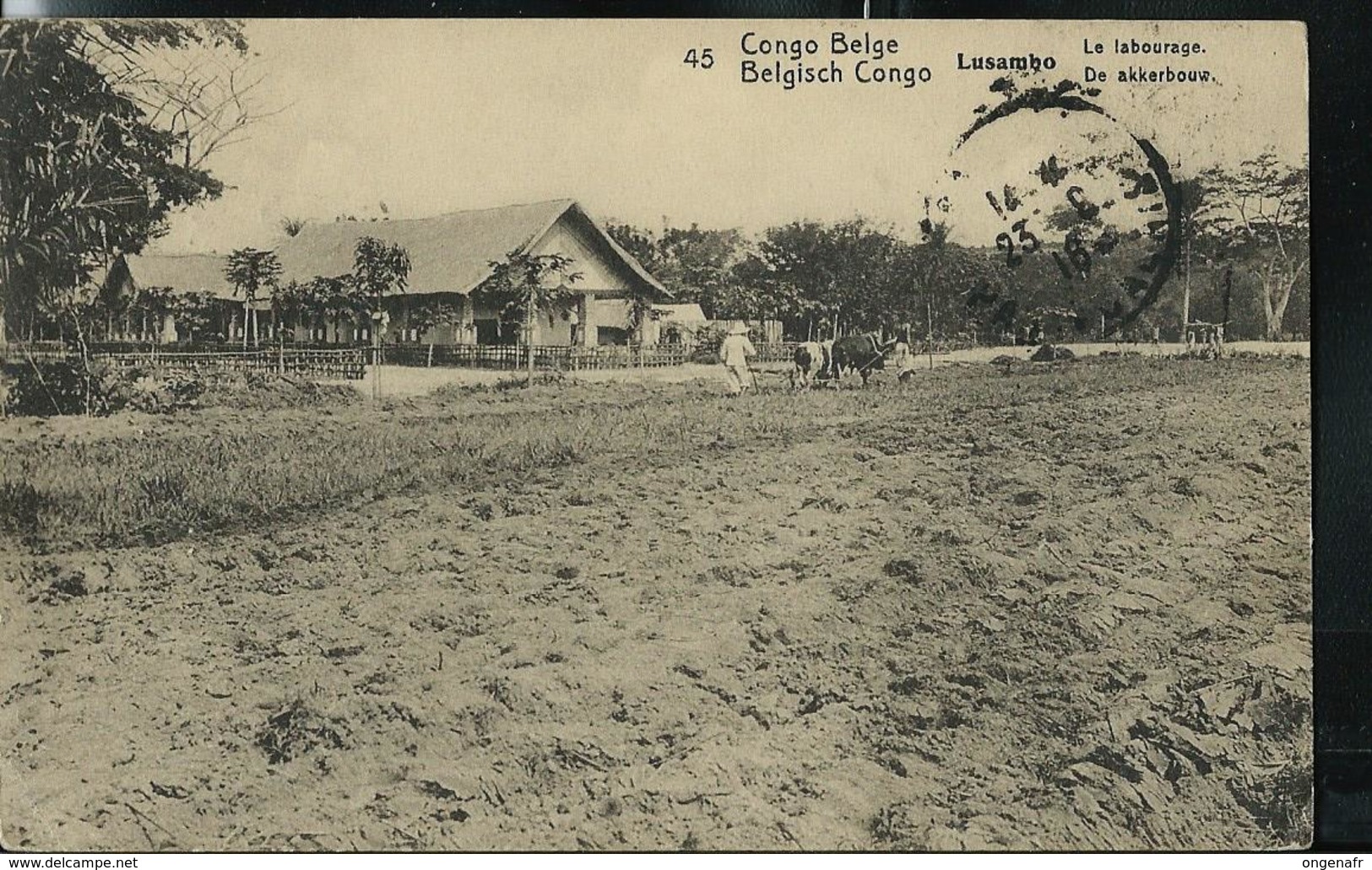 Carte Illustré Obl. N° 42. Vue: 45 LUSAMBO; Le Labourage; Obl. Matadi 27/08/??  Pour Paris (F) - Entiers Postaux