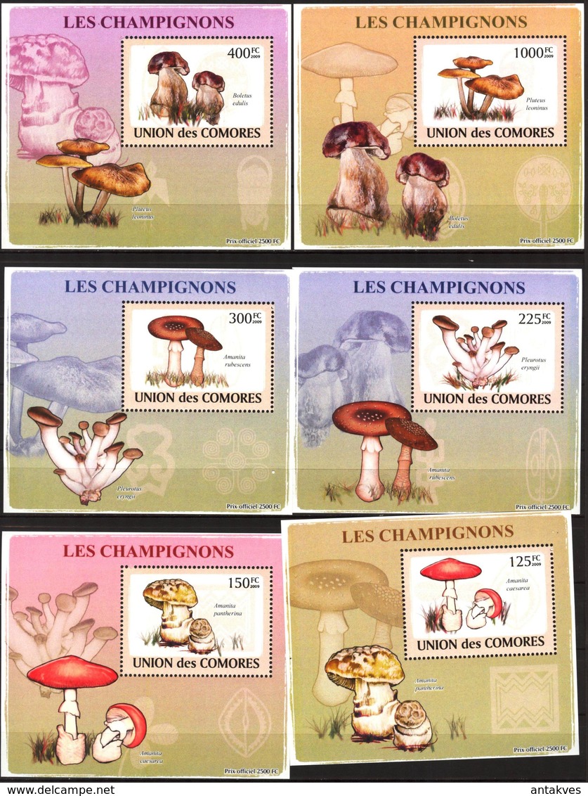 {115} Comoros 2009 Mushrooms 6 S/S Deluxe MNH** - Comores (1975-...)