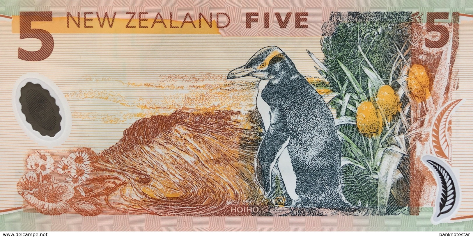 New Zealand 5 Dollar, P-185b (2005) - UNC - Neuseeland