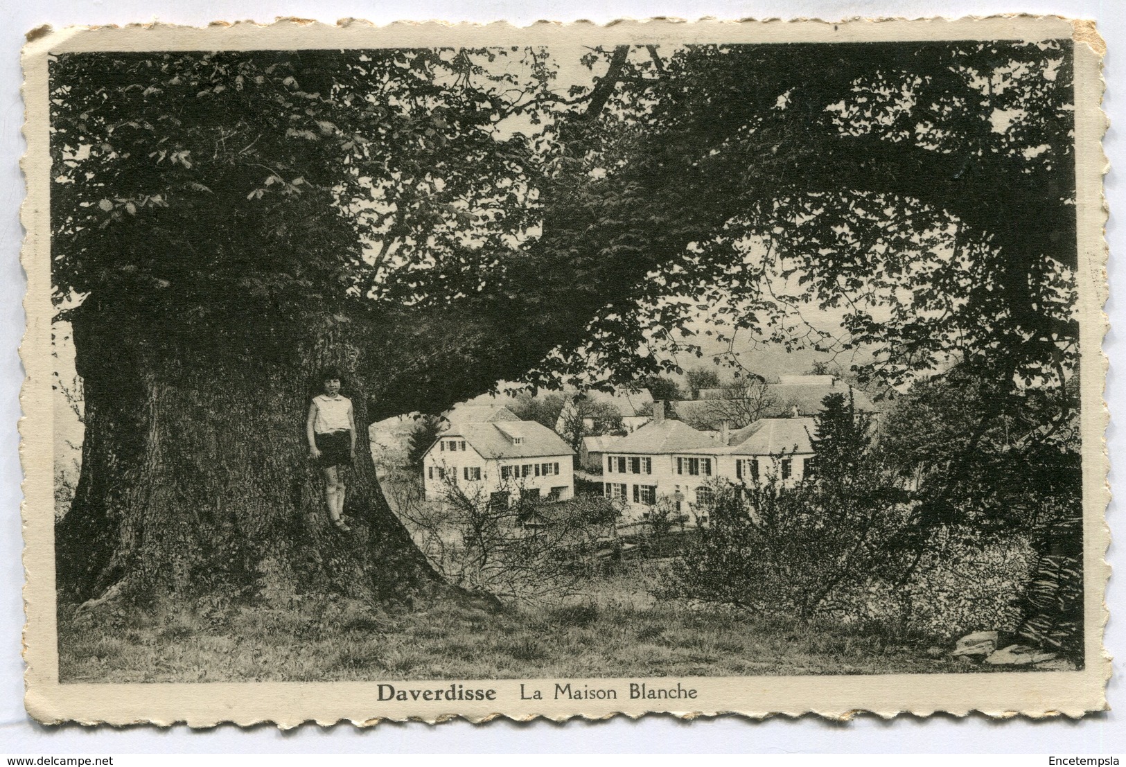 CPA - Carte Postale - Belgique - Daverdisse - La Maison Blanche - 1936  (SV6758) - Daverdisse