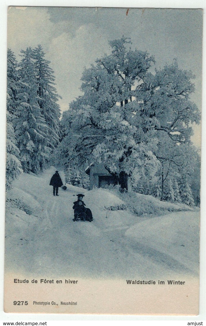 Suisse // Schweiz // Switzerland //  Non Classés  // Etude De Forêt En Hiver, Waldstudie Im Winter - Wald