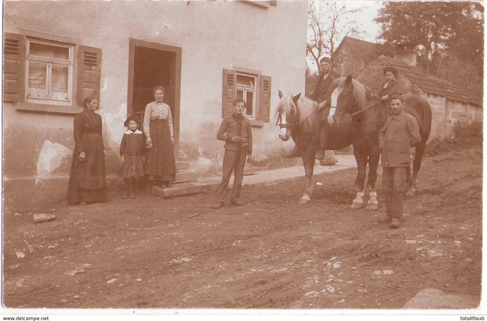 OEHRINGEN Bauernstelle Wilhelm + Karl Endraß Gelaufen 9.10.1904 Famile Vor Dem Haus Pferd Mit Jugendlichen Reitern - Oehringen