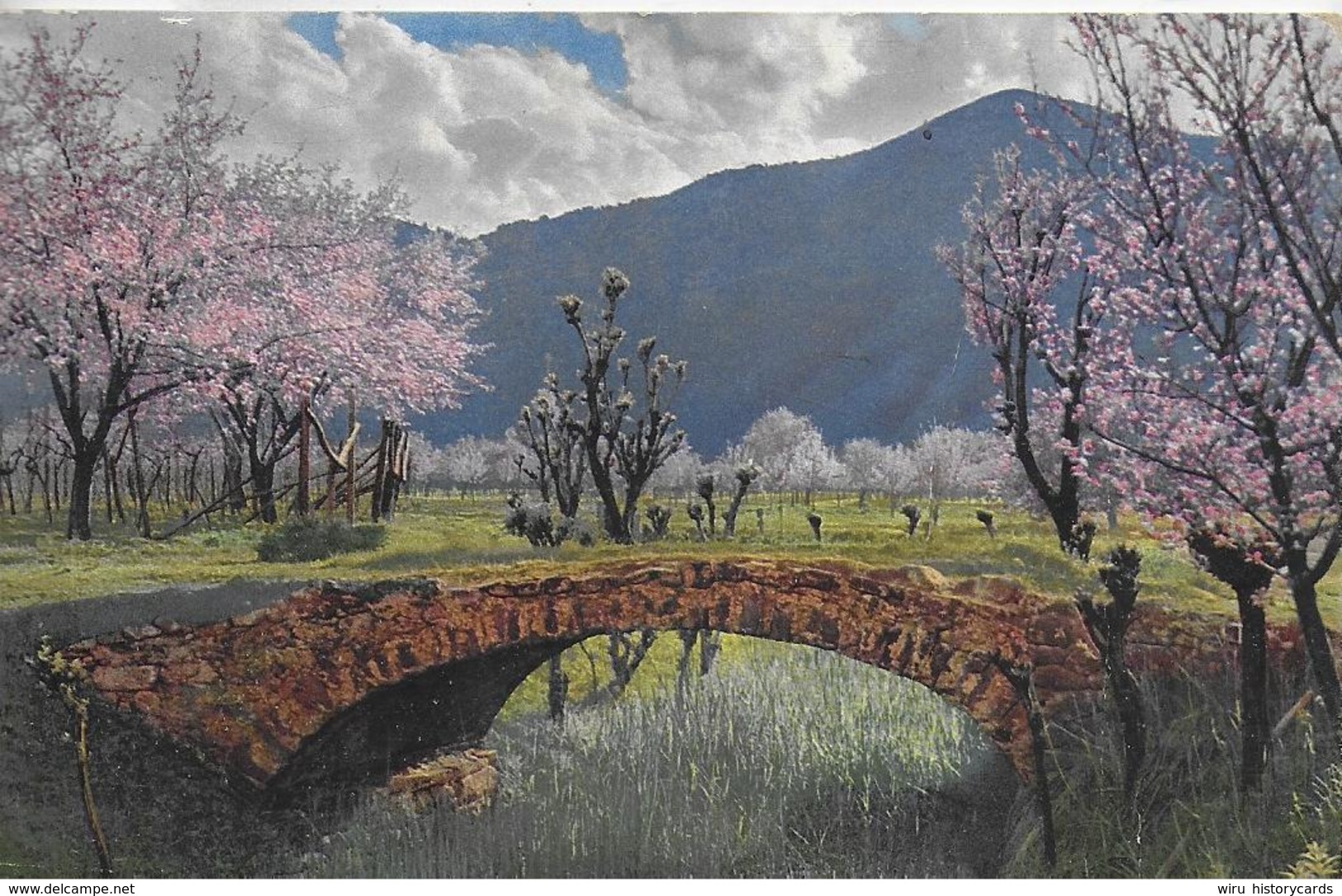 AK 0114  Obstblüte In Tirol ( Steinbrücke ) - K. K. Österreich Um 1915 - Brücken