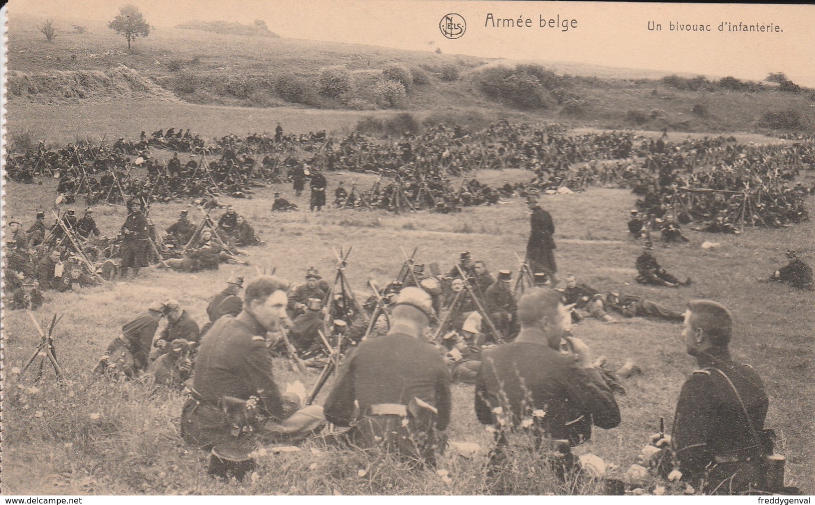 ARMEE BELGE BIVOUAC D'INFANTERIE - Manoeuvres