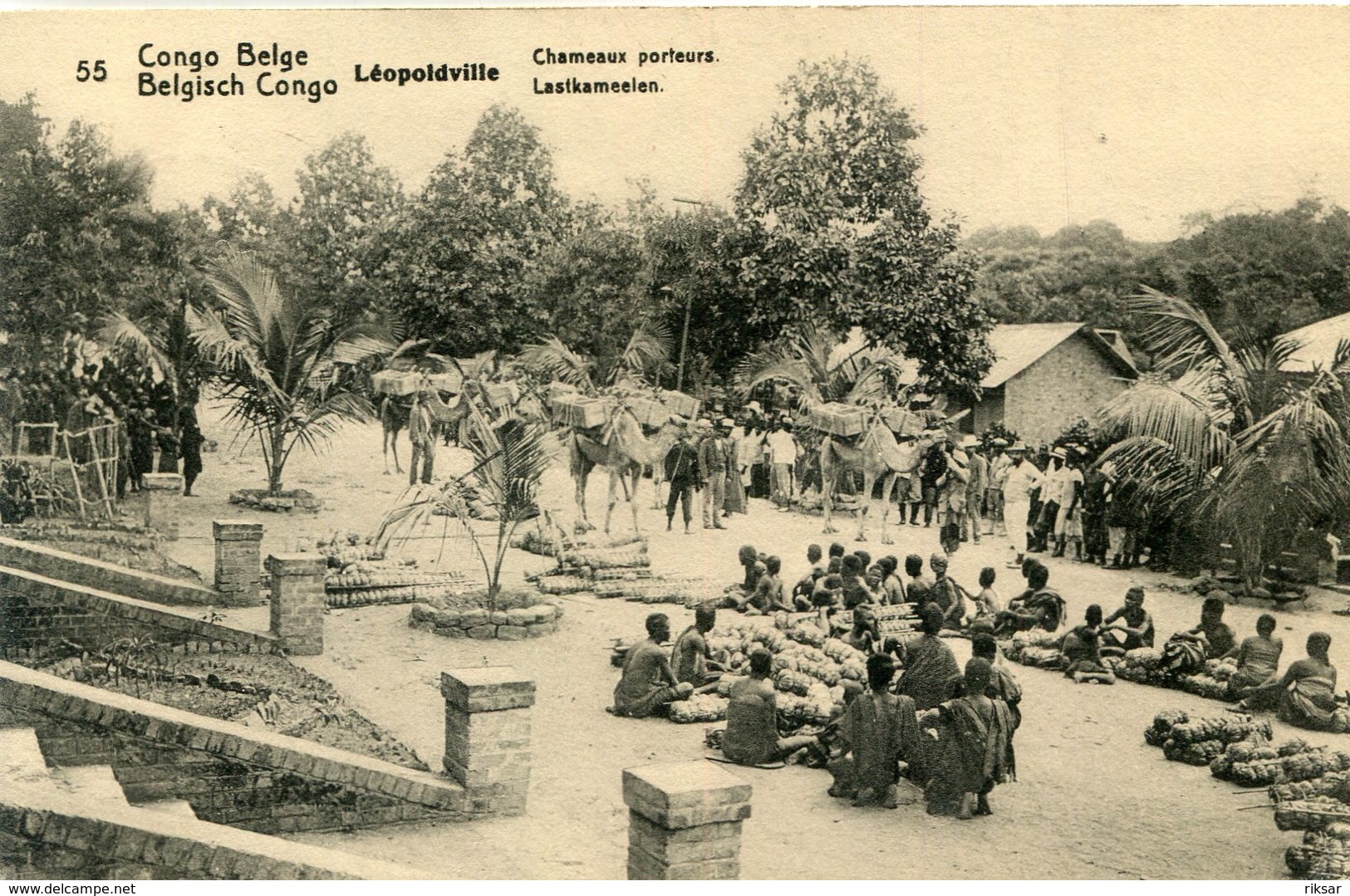 CONGO BELGE(LEOPOLDVILLE) - Kinshasa - Léopoldville