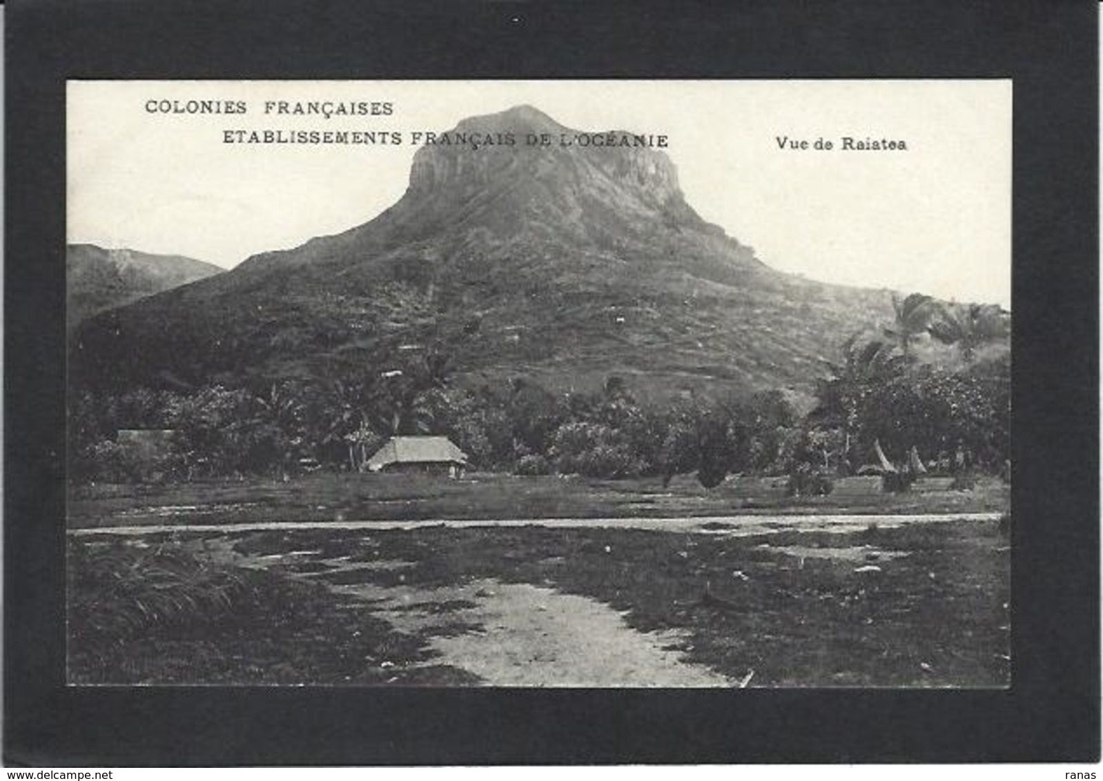 CPA Océanie Polynésie Française RAIATEA Circulé - Französisch-Polynesien