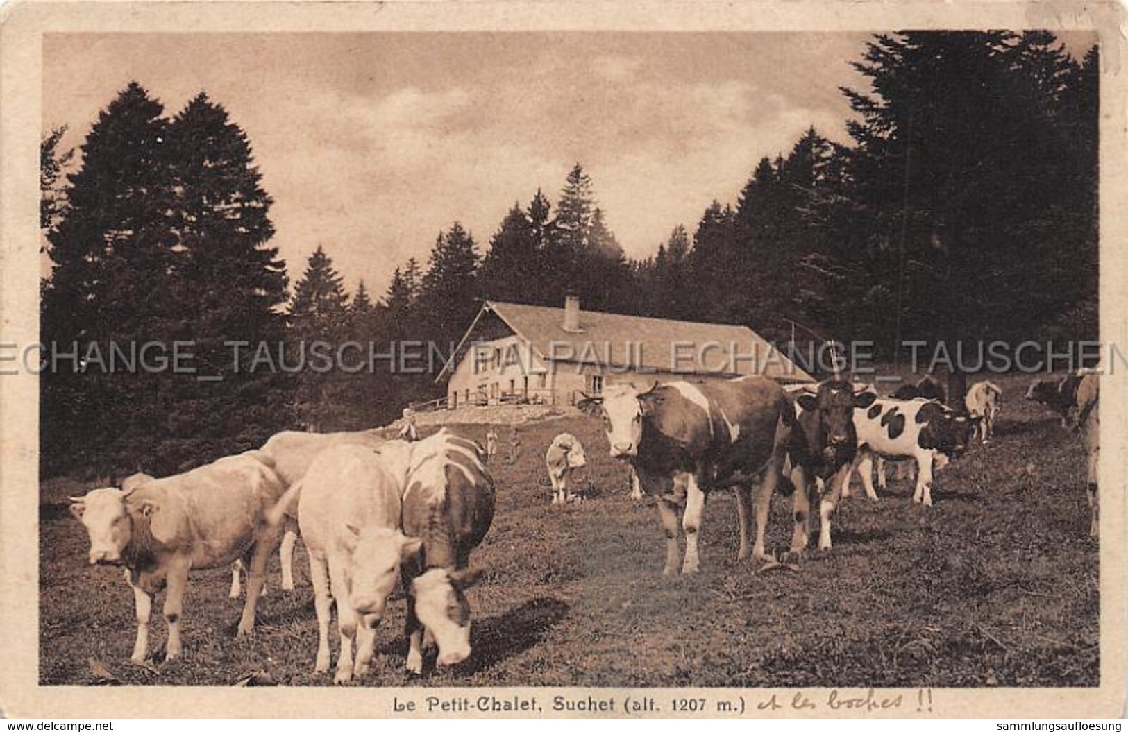 Suchet Animee Le Petit Chalet ET LES BOCHES Rances Jura-Nord Vadois Waadt Schweiz Vaches Rinder Kühe Cows TIMBRE - Rances