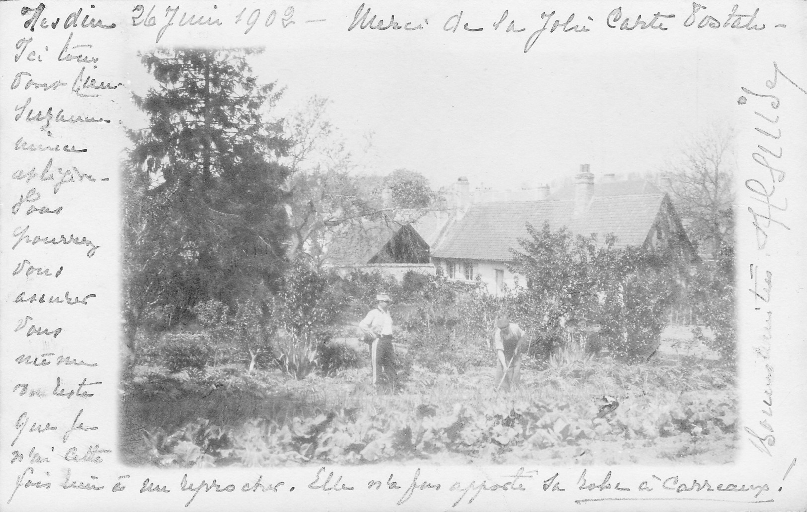 Carte Photo Hesdin 1902 - Hesdin