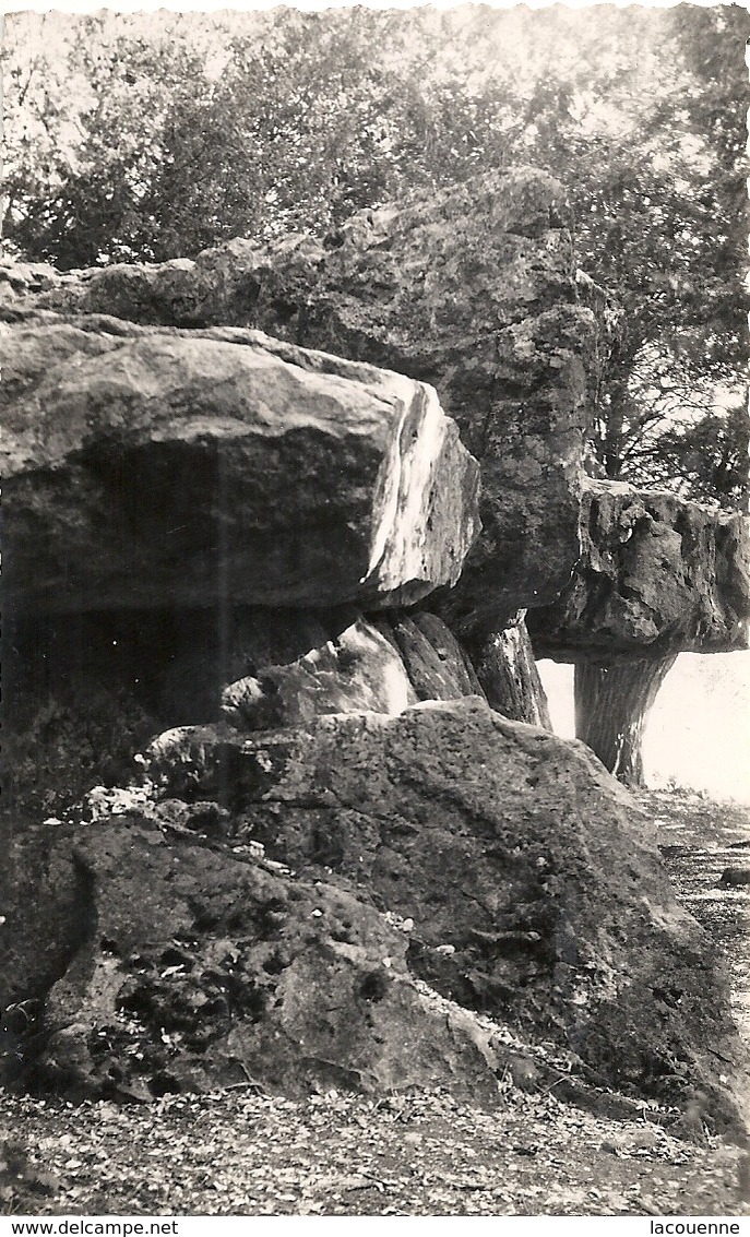 T 6265  METTRAY  DOLMEN  GROTTE DES FEES - Mettray