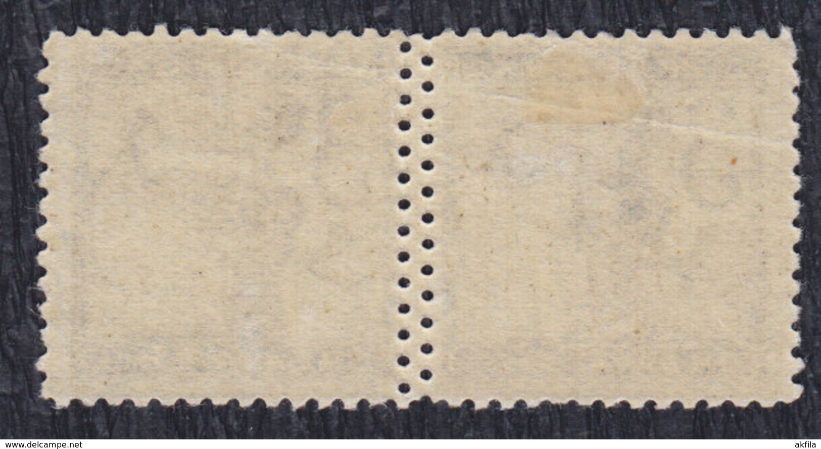 Yugoslavia State SHS Slovenia 1919 Chain Breakers (Verigari) Error - Double Perforation, MH (*) Michel 99 - Geschnittene, Druckproben Und Abarten