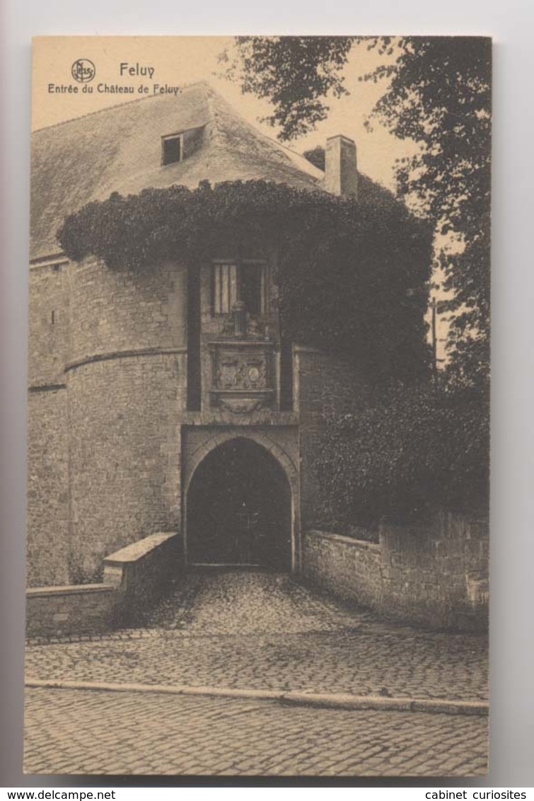 FELUY - Entrée Du Château - Seneffe - Seneffe