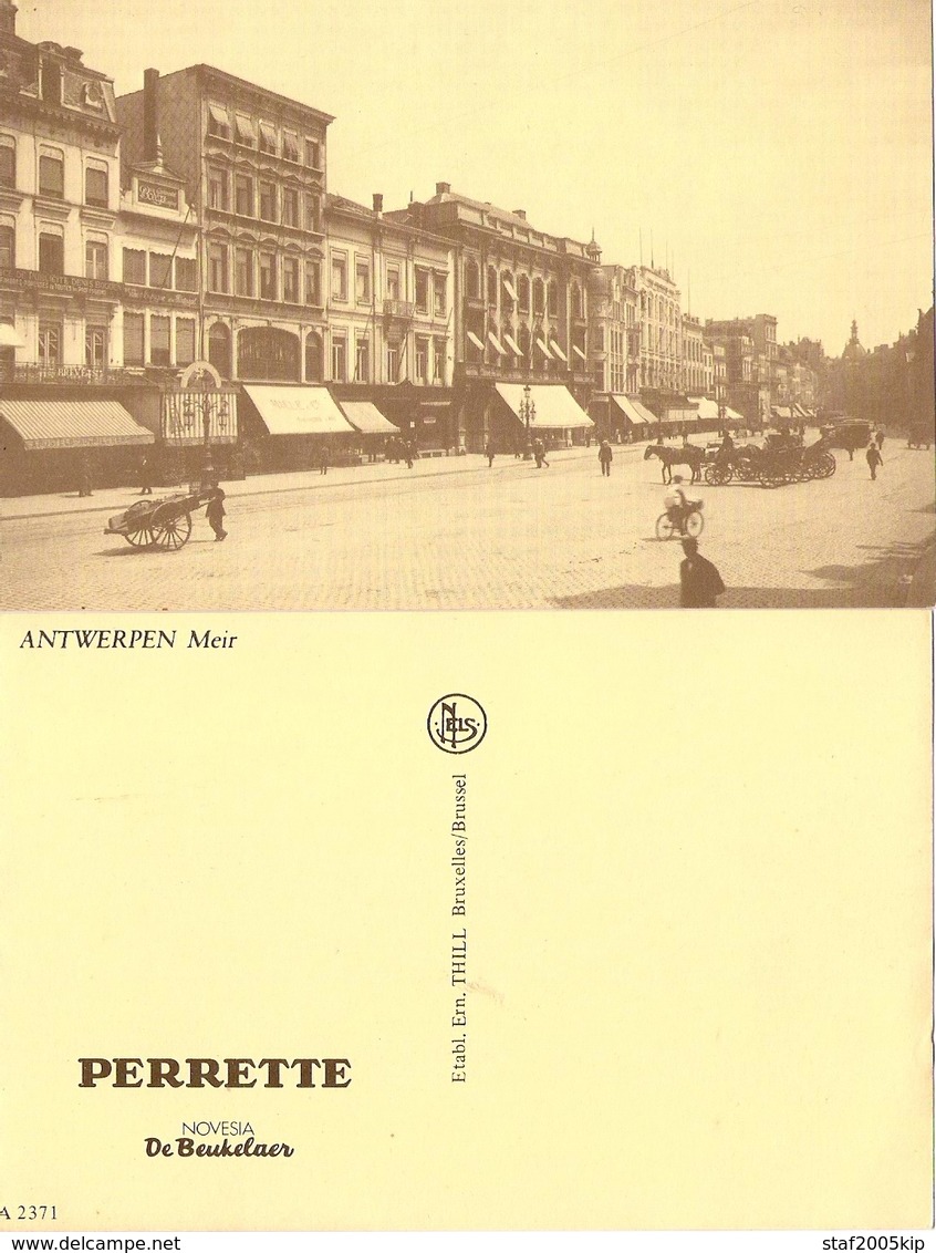 Perrette De Beukelaer - Antwerpen - Meir - Boom