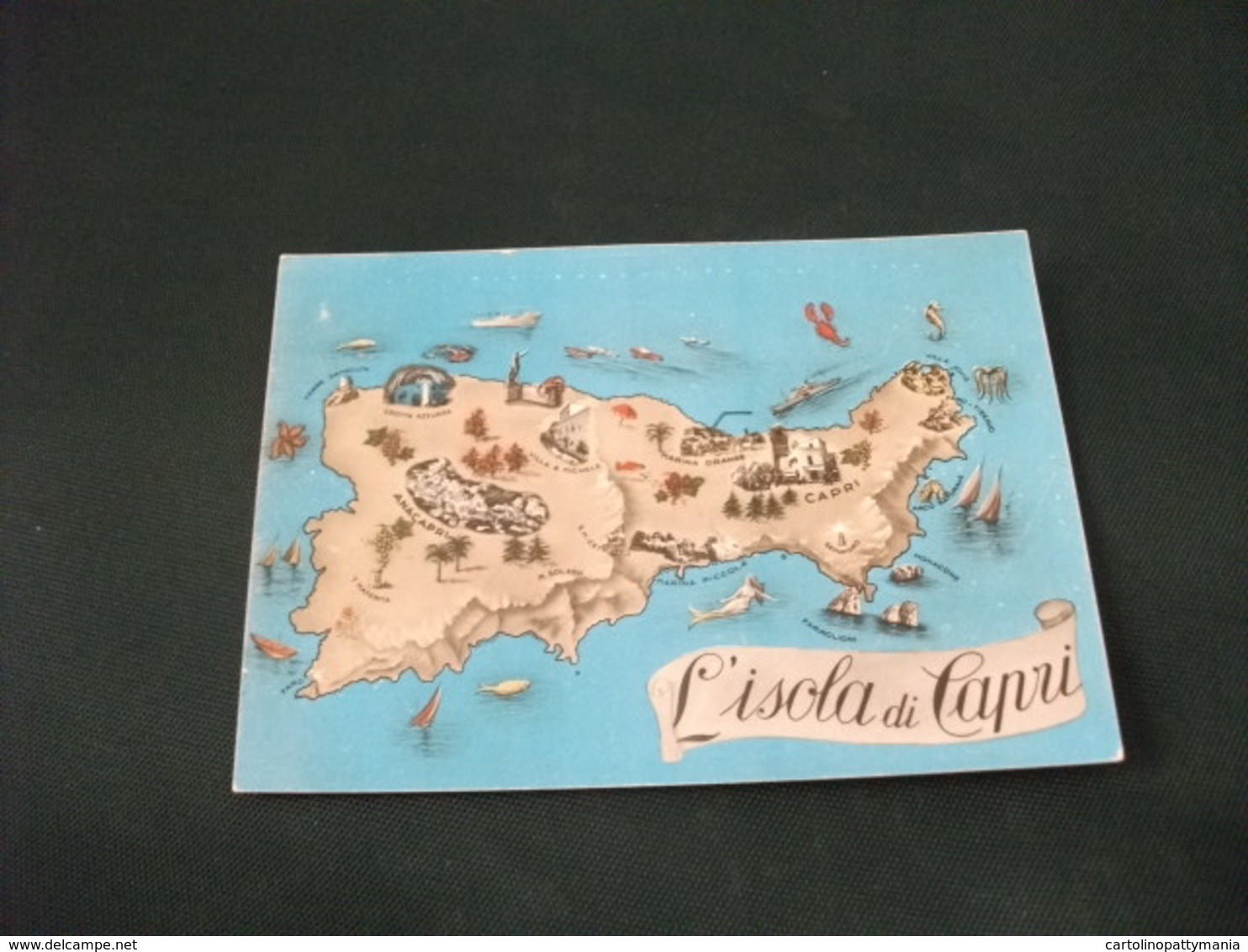 CARTA GEOGRAFICA ISOLA DI CAPRI - Carte Geografiche