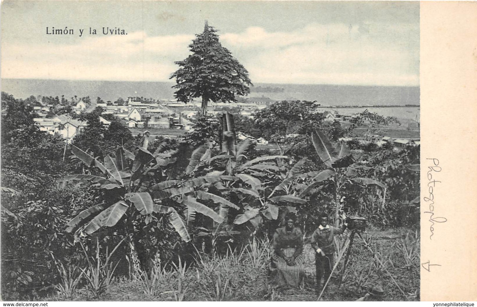 Costa Rica / 51 - Limon Y La Uvita - Costa Rica