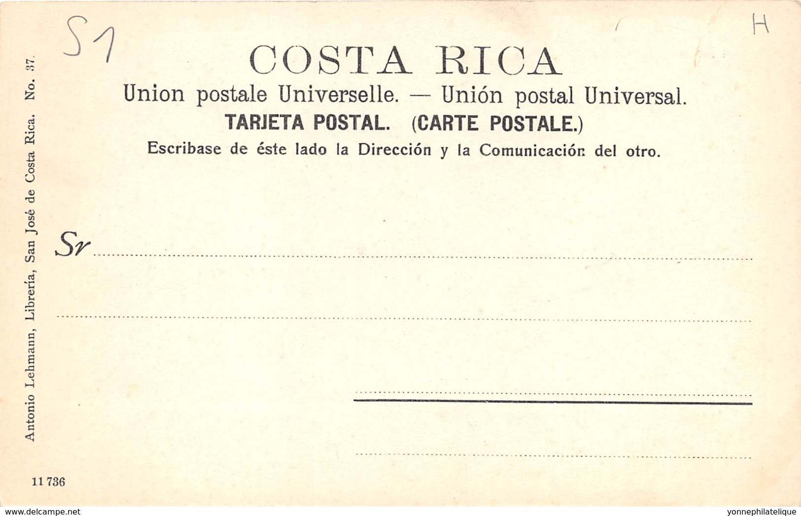 Costa Rica / 51 - Limon Y La Uvita - Costa Rica