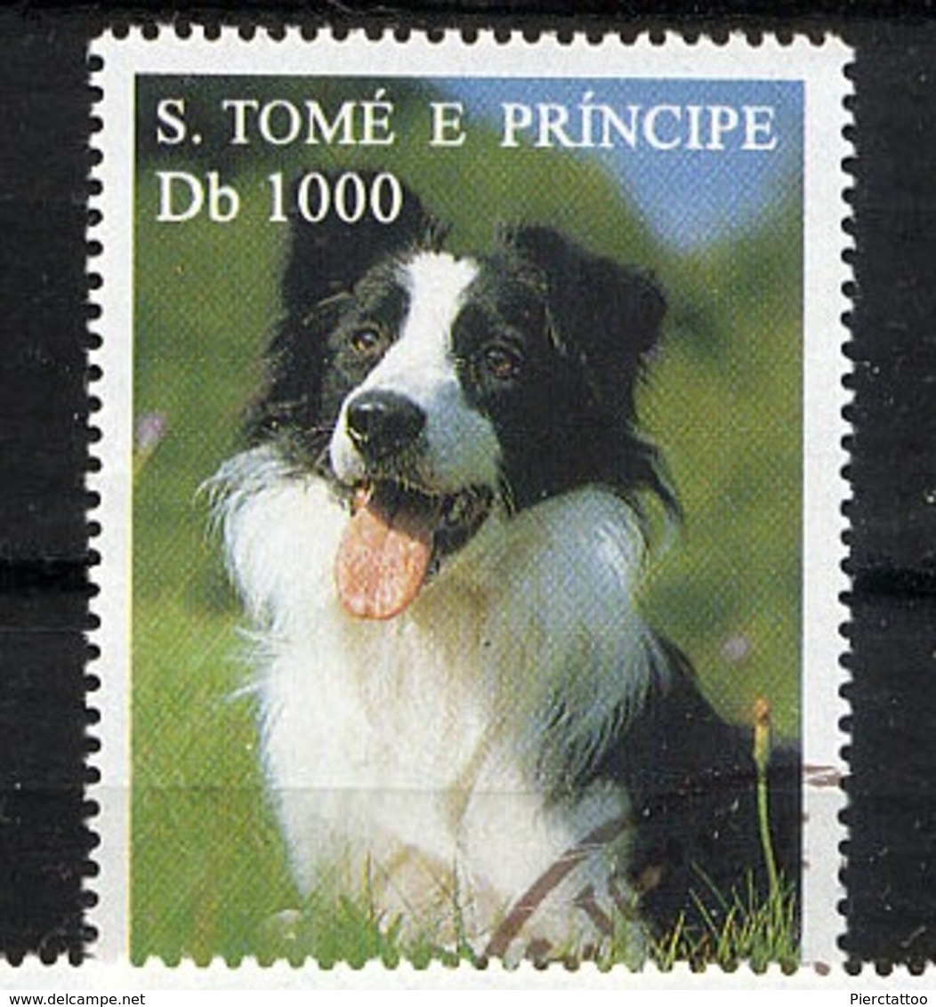 Border Collie (Chien/Animaux) - Sao Tome Et Principe - 1995 - YT 1264 - Oblitéré - Sao Tome Et Principe
