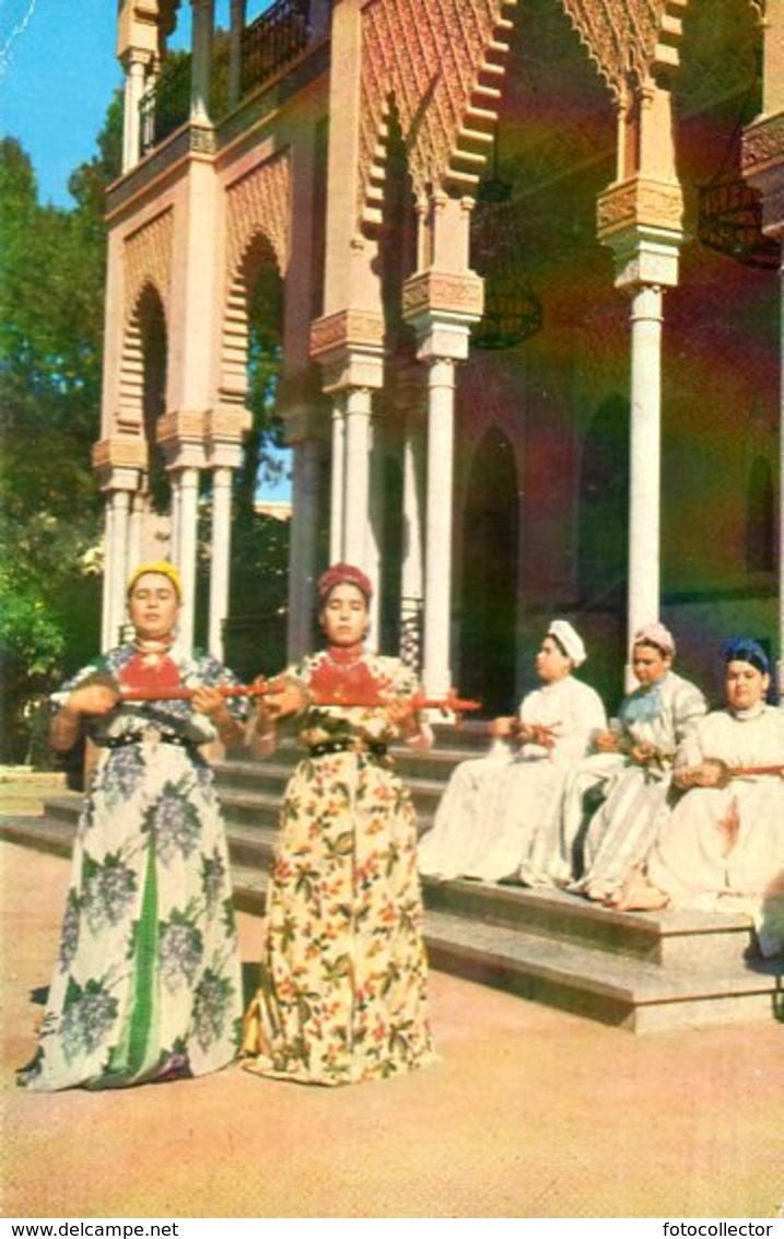 Maroc : Danseuses Et Musiciennes Berbères - Autres & Non Classés