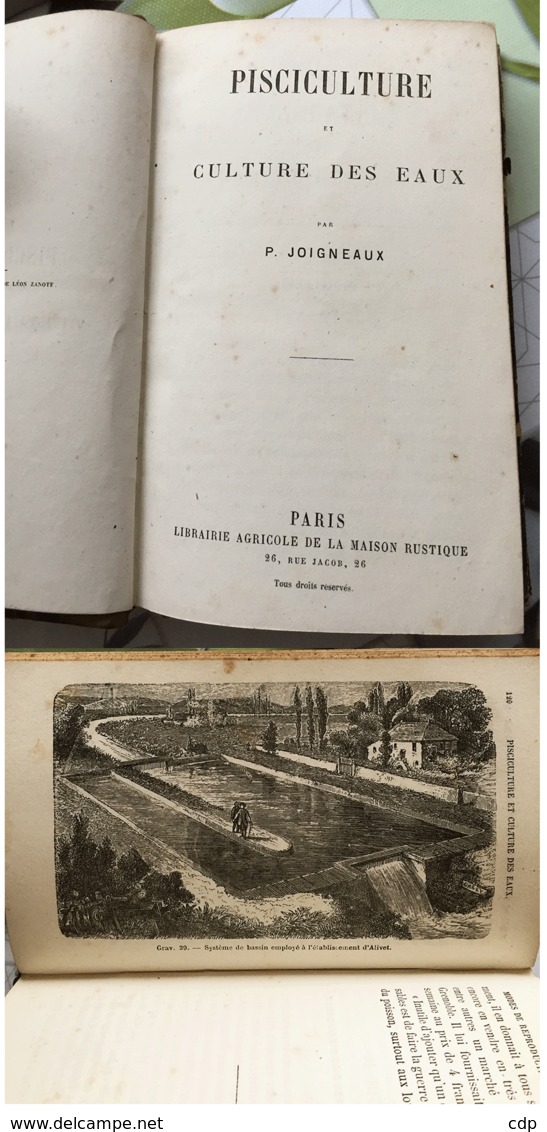 Pisciculture Et Culture Des Eaux    1863 - Animaux