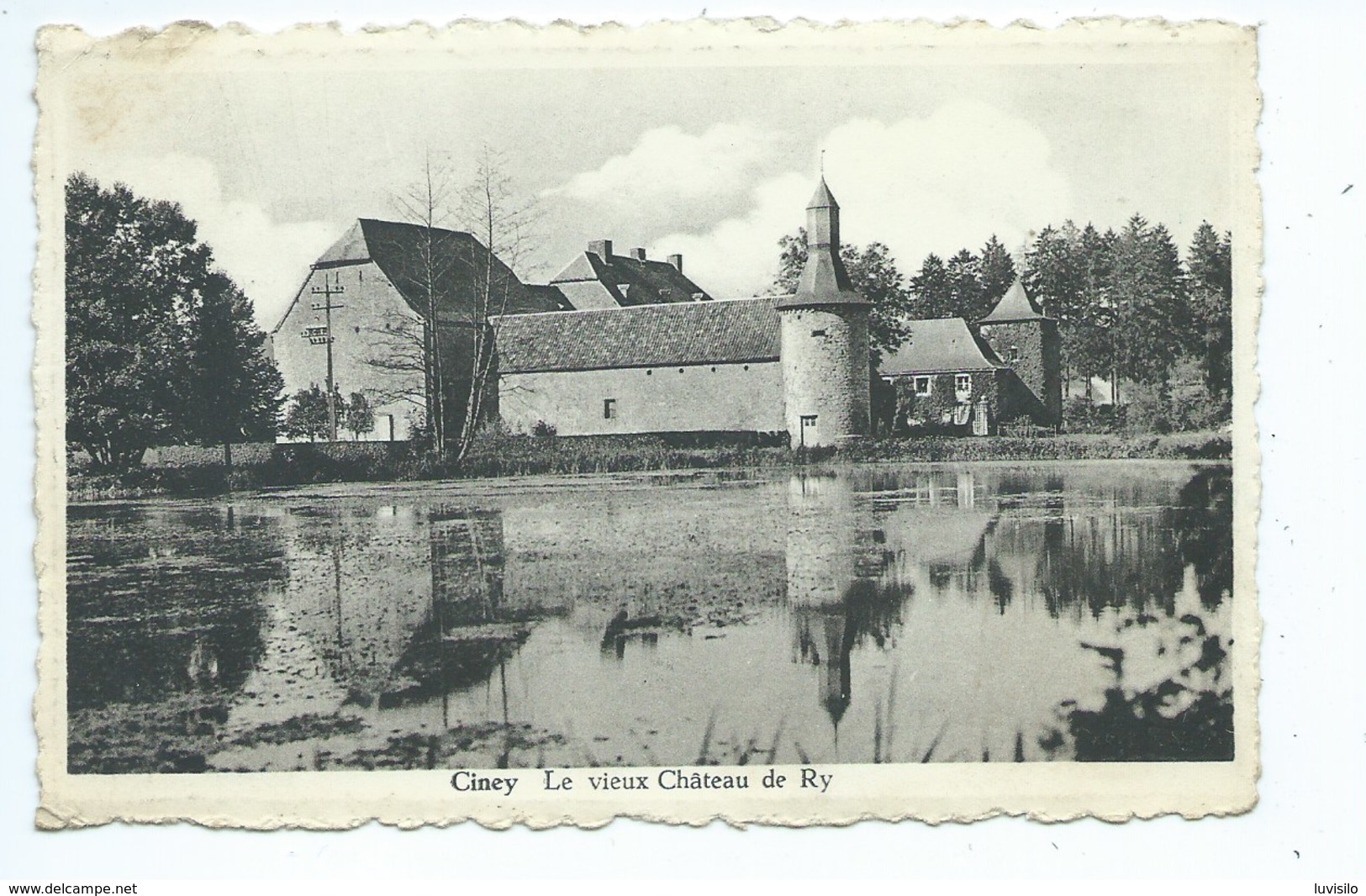 Ciney Le Vieux Château De Ry - Ciney