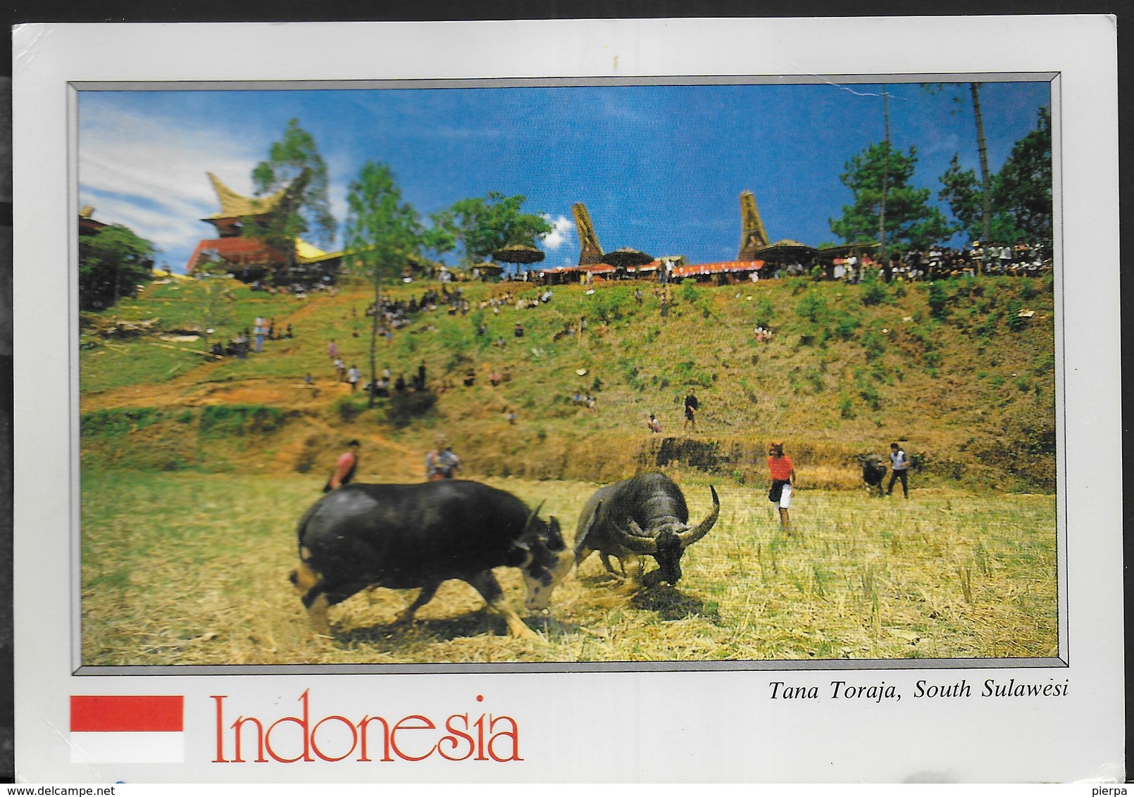 INDONESIA - TANA TORAJA, SOUTH SULAWESI - FORMATO GRANDE 17X12 - VIAGGIATA 1991 FRANCOBOLLO ASPORTATO - Indonesia