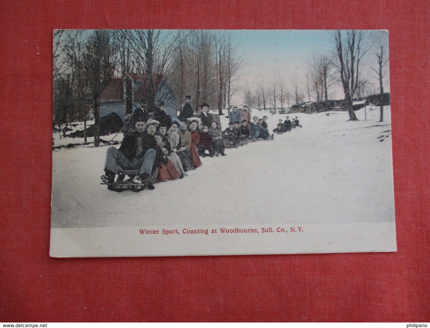 Winter Sport  Coasting At Woodbourne  Sull. Co. NY     Ref 3114 - Winter Sports