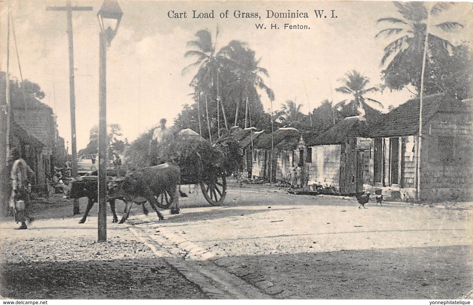 Dominique / 01 - Cart Load Of Grass - Dominica